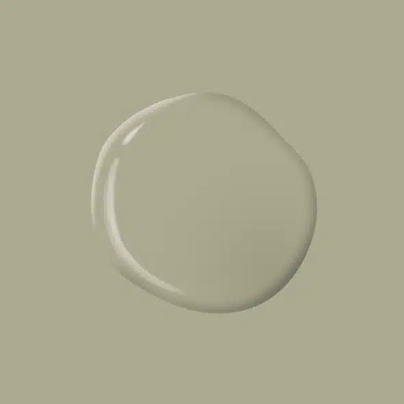 Olive Sprig – PPG1125 4
