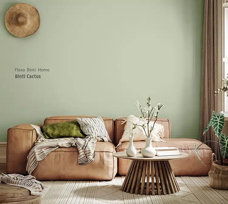 Binti Cactus kleur