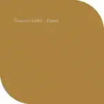 Tuscan Gold van Flexa