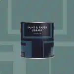 Paint & Paper IGUANA